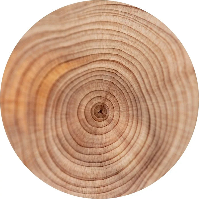 Traditional Sandalwood Essential Oil – Organic Mysore Sandalwood from India