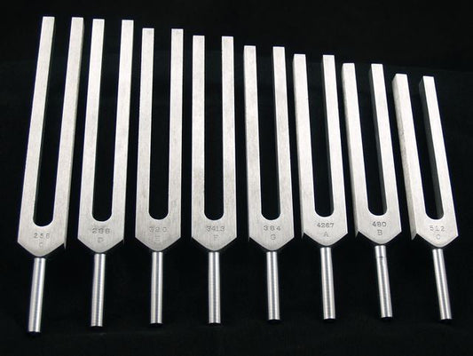 Metal tuning forks stand upright in a row. Arranged on a black surface, the forks decrease in height from left to right.