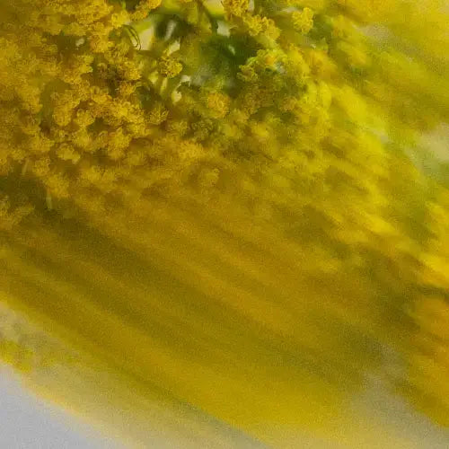 Close-up of a green and yellow textured surface