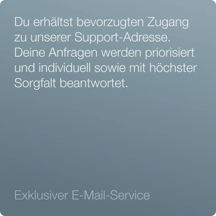 VIP-Support (2 Monate)