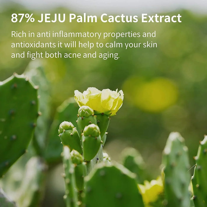 [YADAH] Cactus Toner 210ml - Ballagrio