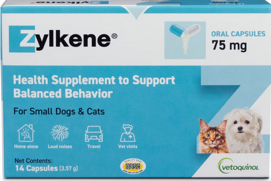 Zylkene Nutritional Supplement